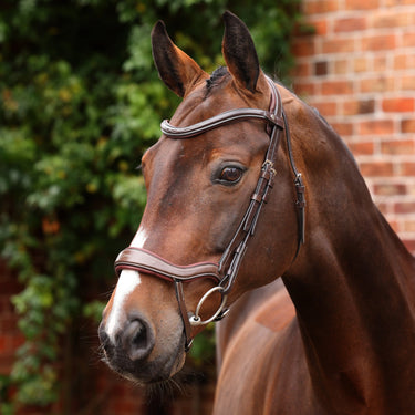 Shires Velociti LUSSO Opus 180M Ergonomic Flash Bridle Havana| Online For Equine