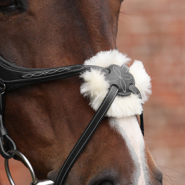 Shires Velociti LUSSO Opus 180M Grackle Bridle Black| Online For Equine