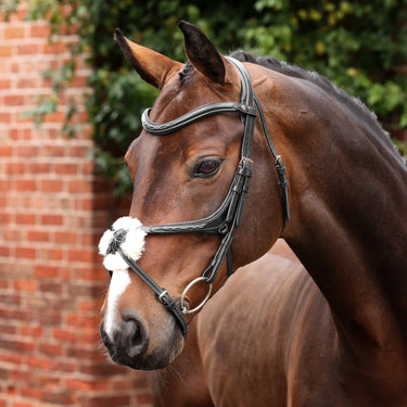 Shires Velociti LUSSO Opus 180M Grackle Bridle Black| Online For Equine