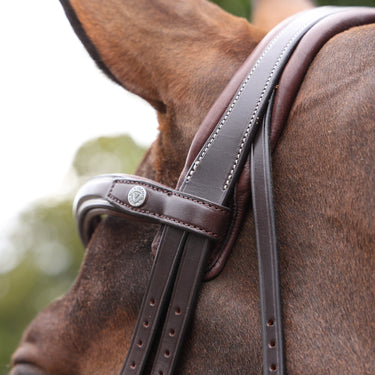 Shires Velociti LUSSO Opus 180M Grackle Bridle Havana| Online For Equine