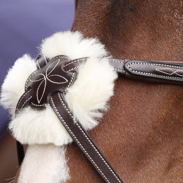 Shires Velociti LUSSO Opus 180M Grackle Bridle Havana| Online For Equine