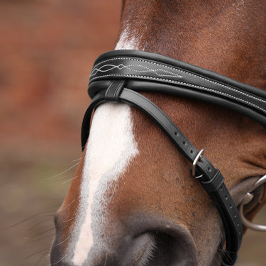 Shires Velociti LUSSO Opus 180M Padded Flash Bridle Black| Online For Equine