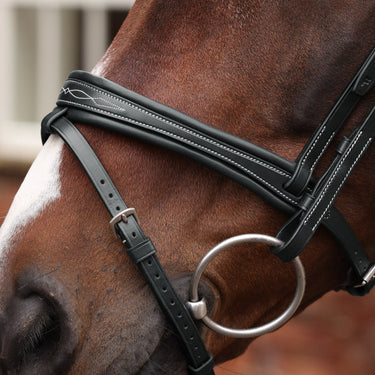Shires Velociti LUSSO Opus 180M Padded Flash Bridle Black| Online For Equine