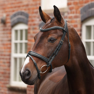 Shires Velociti LUSSO Opus 180M Padded Flash Bridle Black| Online For Equine