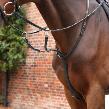 Shires Velociti LUSSO Opus Close Contact Breastplate Black| Online For Equine
