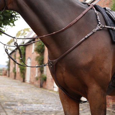 Shires Velociti LUSSO Opus Close Contact Breastplate Havana| Online For Equine