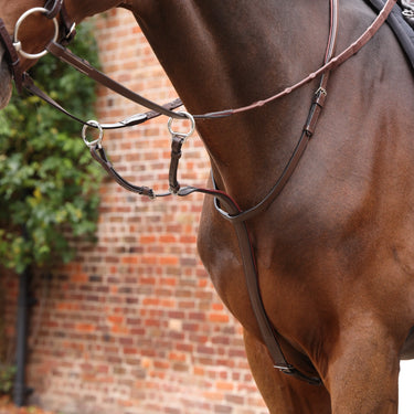 Shires Velociti LUSSO Opus Close Contact Breastplate Havana| Online For Equine