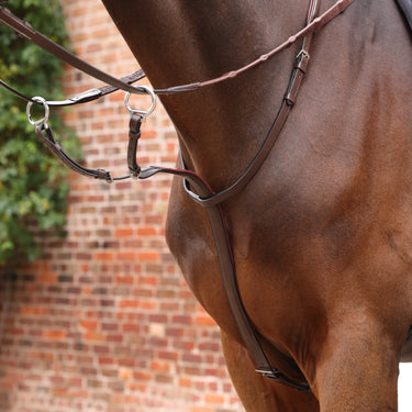 Shires Velociti LUSSO Opus Close Contact Breastplate Havana| Online For Equine