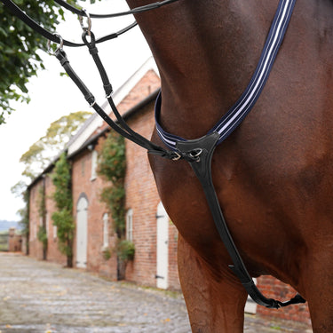 Shires Velociti LUSSO Opus Elastic Breastplate Black| Online For Equine