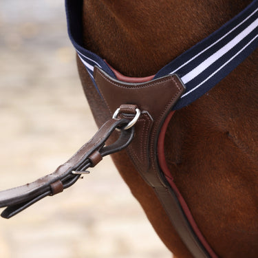 Shires Velociti LUSSO Opus Elastic Breastplate Havana| Online For Equine