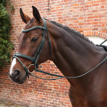 Shires Velociti LUSSO Opus Soft Grip Reins Black| Online For Equine