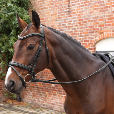 Shires Velociti LUSSO Opus Pro SureGrip Reins Black| Online For Equine