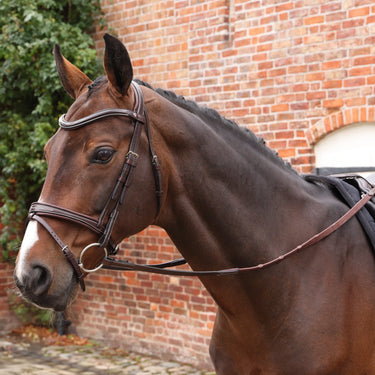 Shires Velociti LUSSO Opus Pro SureGrip Reins Havana| Online For Equine