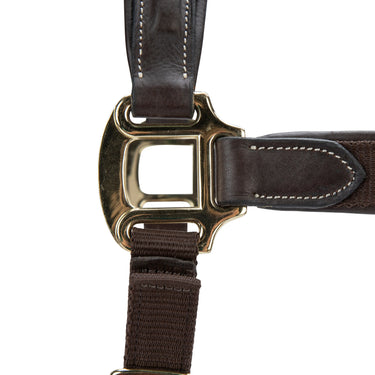 Shires Velociti LUSSO Padded Leather Headcollar Havana| Online For Equine