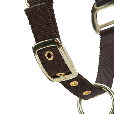 Shires Velociti LUSSO Padded Leather Headcollar Havana| Online For Equine