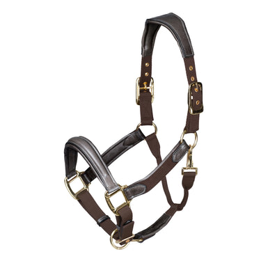 Shires Velociti LUSSO Padded Leather Headcollar Havana| Online For Equine