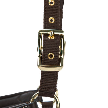 Shires Velociti LUSSO Padded Leather Headcollar Havana| Online For Equine