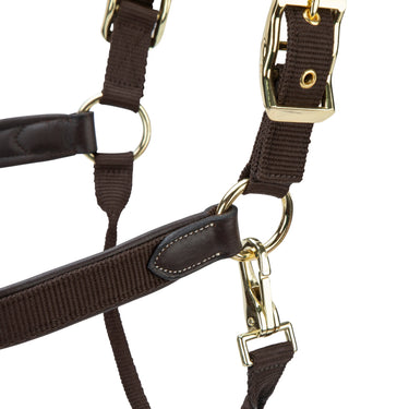 Shires Velociti LUSSO Padded Leather Headcollar Havana| Online For Equine