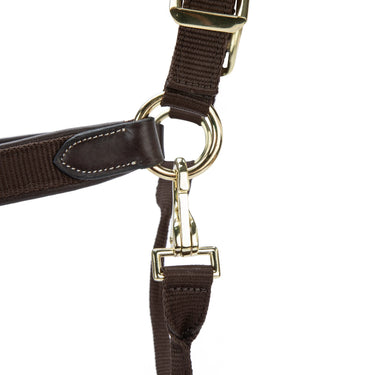 Shires Velociti LUSSO Padded Leather Headcollar Havana| Online For Equine