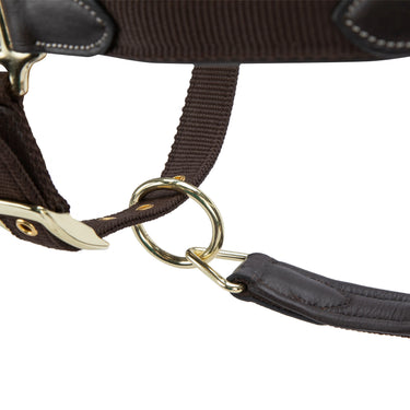 Shires Velociti LUSSO Padded Leather Headcollar Havana| Online For Equine