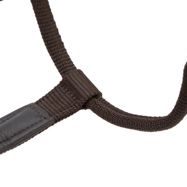 Shires Velociti LUSSO Padded Leather Headcollar Havana| Online For Equine