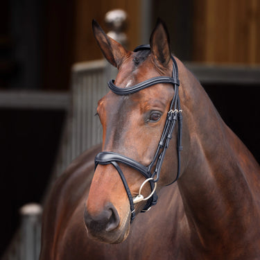Shires Velociti Lusso Elite Black Flash Bridle| Online For Equine
