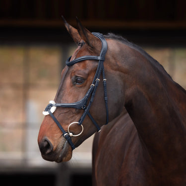 Shires Velociti Lusso Elite Black Grackle Bridle| Online For Equine