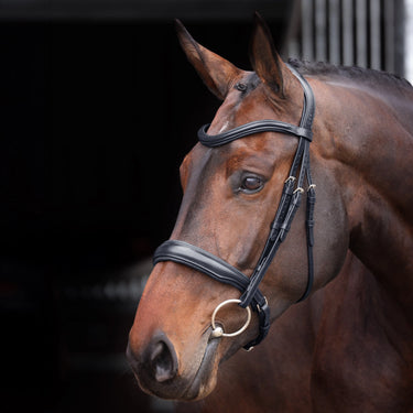 Buy Shires Velociti Lusso Elite Black Padded Cavesson Bridle| Online for Equine