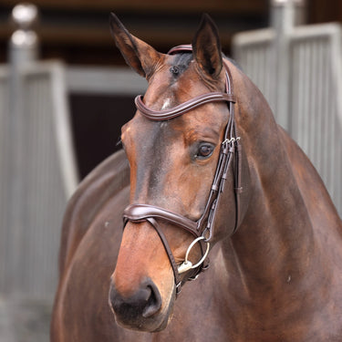 Shires Velociti Lusso Elite Havana Flash Bridle| Online For Equine