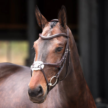 Buy the Shires Velociti Lusso Elite Havana Grackle Bridle | Online for Equine