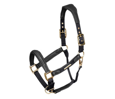Buy Shires Velociti Lusso Padded Black Leather Headcollar| Online for Equine