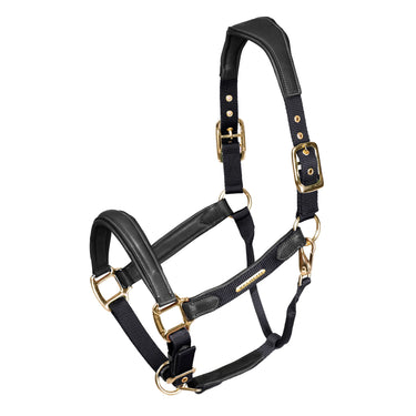 Shires Velociti Lusso Padded Black Leather Headcollar| Online For Equine