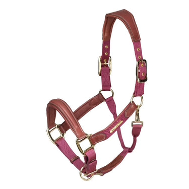 Shires Velociti Lusso Padded Burgundy Leather Headcollar| Online For Equine