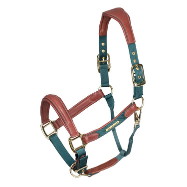 Shires Velociti Lusso Padded Green Leather Headcollar| Online For Equine