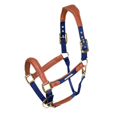 Shires Velociti Lusso Padded Navy Leather Headcollar| Online For Equine