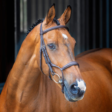 Shires Velociti Lusso Rolled Padded Cavesson Bridle| Online For Equine