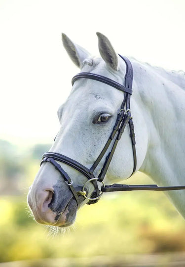Buy Shires Velociti Padded Raised Flash Bridle| Online for Equine