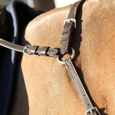 Buy Shires Velociti RAPIDA Ergonomic Breastplate| Online for Equine