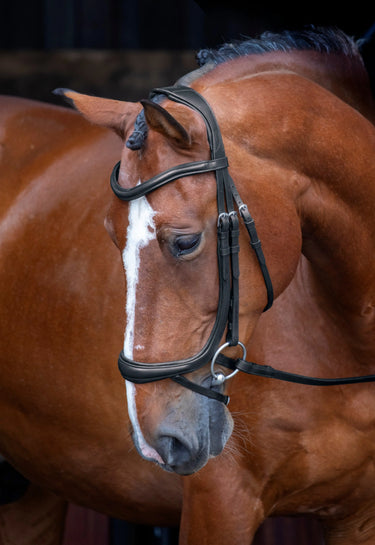 Shires Velociti RAPIDA Ergonomic Curved Black Flash Bridle| Online For Equine