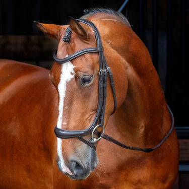 Shires Velociti RAPIDA Ergonomic Curved Havana Flash Bridle| Online For Equine
