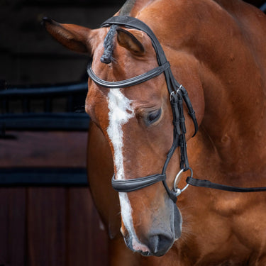 Shires Velociti RAPIDA Rolled Padded Cavesson Bridle| Online For Equine