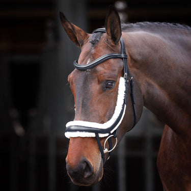 Buy Shires Velociti Rapida Fleece Lined Black Curved Flash Noseband| Online for Equine