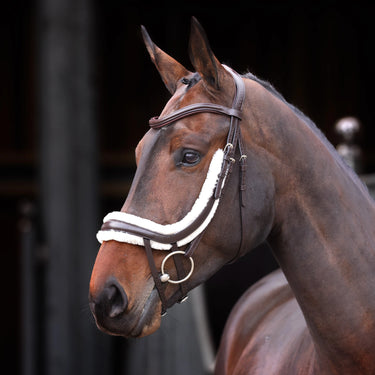  Buy the Shires Velociti Rapida Fleece Lined Havana Curved Flash Noseband | Online for Equine
