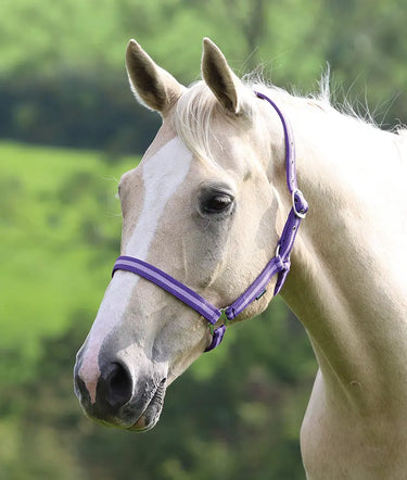 Buy Shires Wessex Nylon Headcollars| Online for Equine