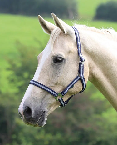 Buy Shires Wessex Nylon Headcollars| Online for Equine