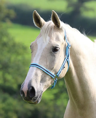 Buy Shires Wessex Nylon Headcollars| Online for Equine