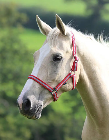 Buy Shires Wessex Nylon Headcollars| Online for Equine