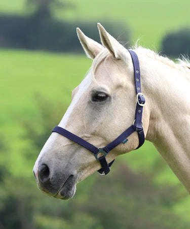 Buy Shires Wessex Nylon Headcollars| Online for Equine
