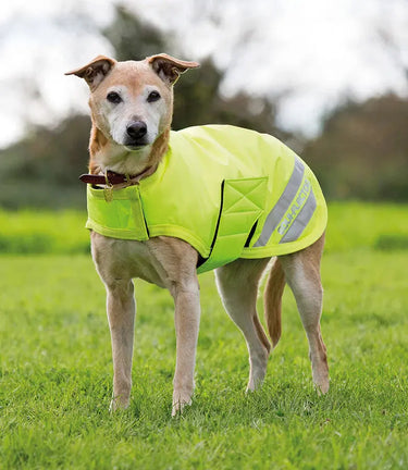 Shires Yellow EQUI-FLECTOR Dog Coat| Online For Equine