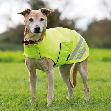 Shires Yellow EQUI-FLECTOR Dog Coat| Online For Equine